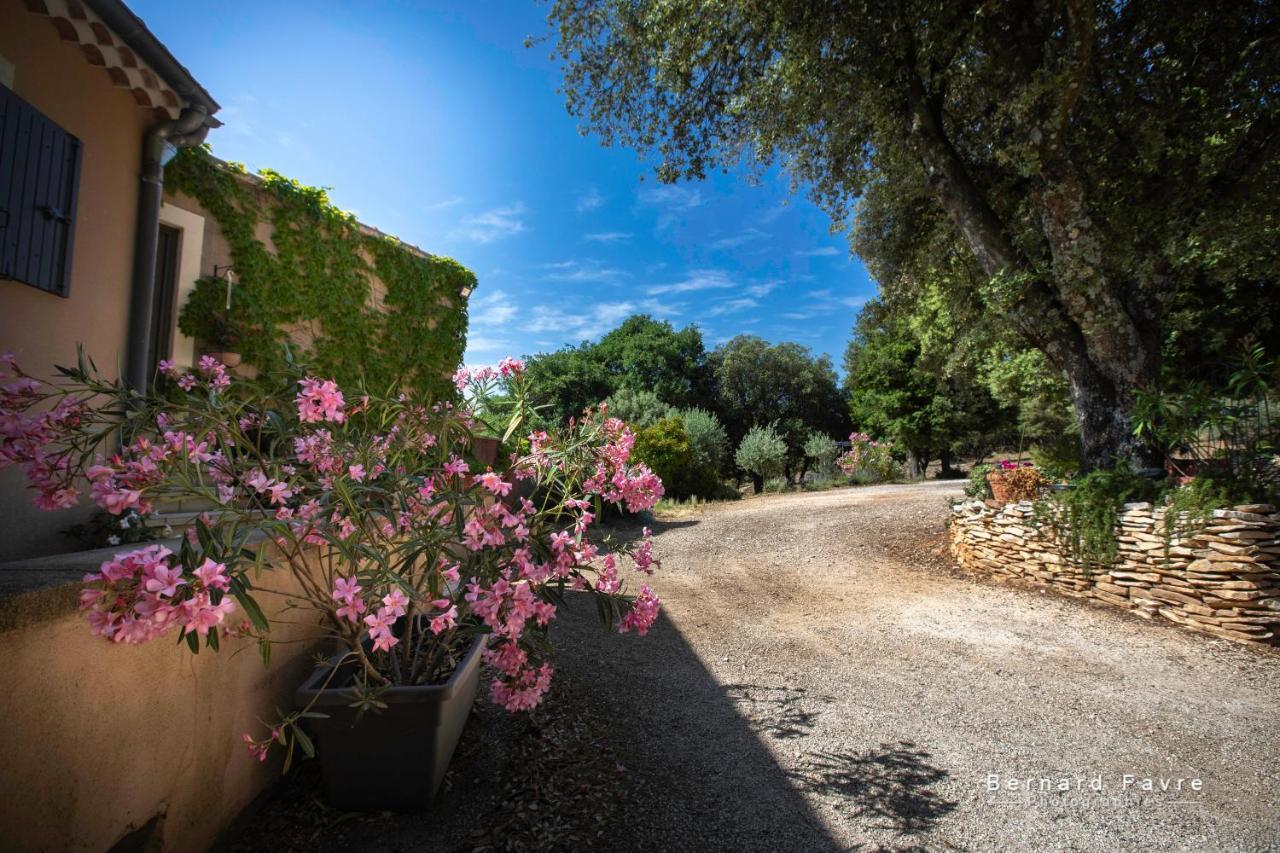 Villa Mas Saint Antoine Bourg-Saint-Andéol Esterno foto