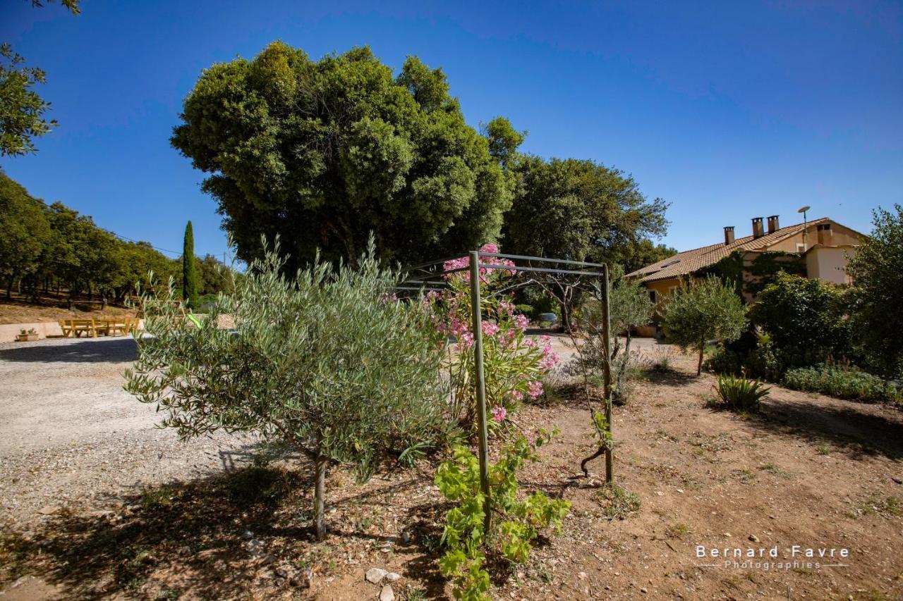 Villa Mas Saint Antoine Bourg-Saint-Andéol Esterno foto